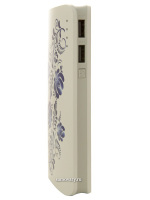 Портативный аккумулятор "Canyon CNE-CPB130GZ", Power Bank
