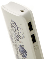 Портативный аккумулятор "Canyon CNE-CPB130GZ", Power Bank