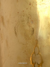Угольный самовар 7 литров желтый "цилиндр", произведен на Тульском Патронном Заводе в середине ХХ века, арт. 433331