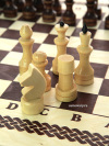 Игра "2 в 1" шахматы+шашки, Орловские